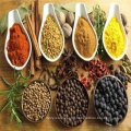 Good Taste Spice Compound Seasoning with Best Price